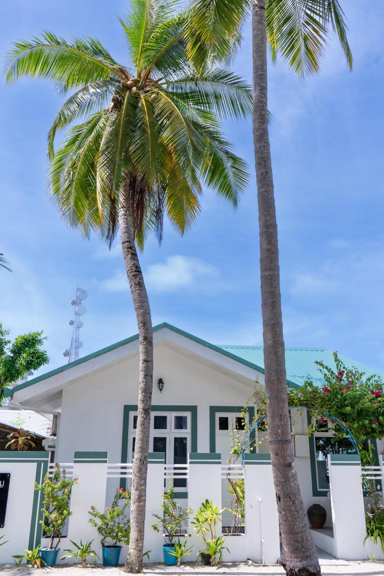 Vaali Maldives Island Escapes & Dive Hotel Felidhoo Exterior foto