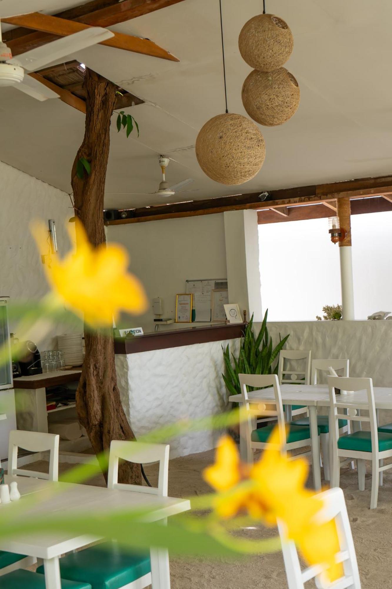 Vaali Maldives Island Escapes & Dive Hotel Felidhoo Exterior foto